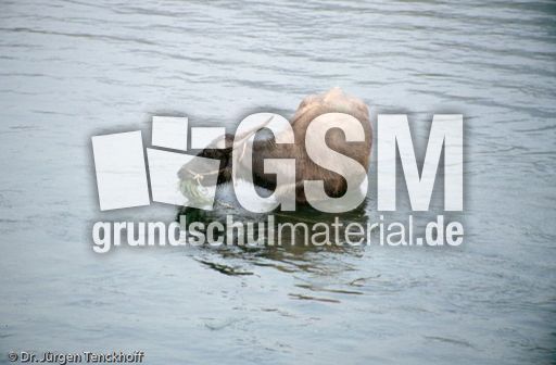 China (236 von 257).jpg